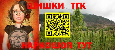 дживик Кингисепп