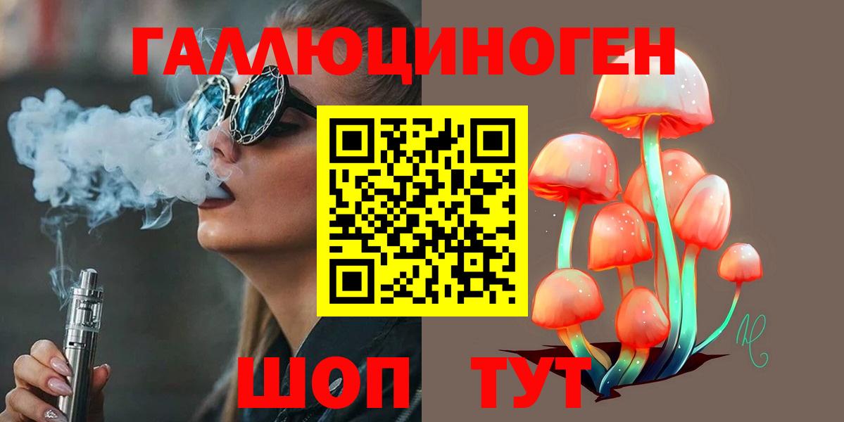 Переславль-Залесский  Псилоцибиновые грибы Cubensis  Вход с VPN 