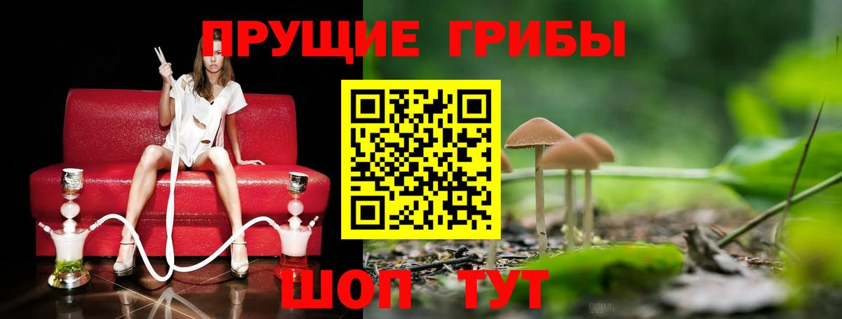 Галлюциногенные грибы Magic Shrooms Переславль-Залесский